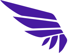 SkillBrew Testimonial Team Lead, Modistech